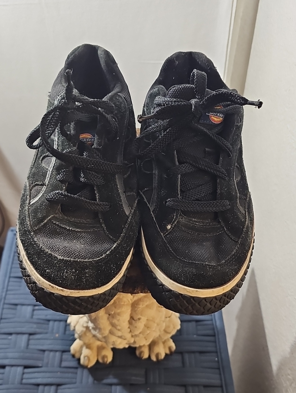 Dickies Kids Black Lace-Up Casual Sneakers